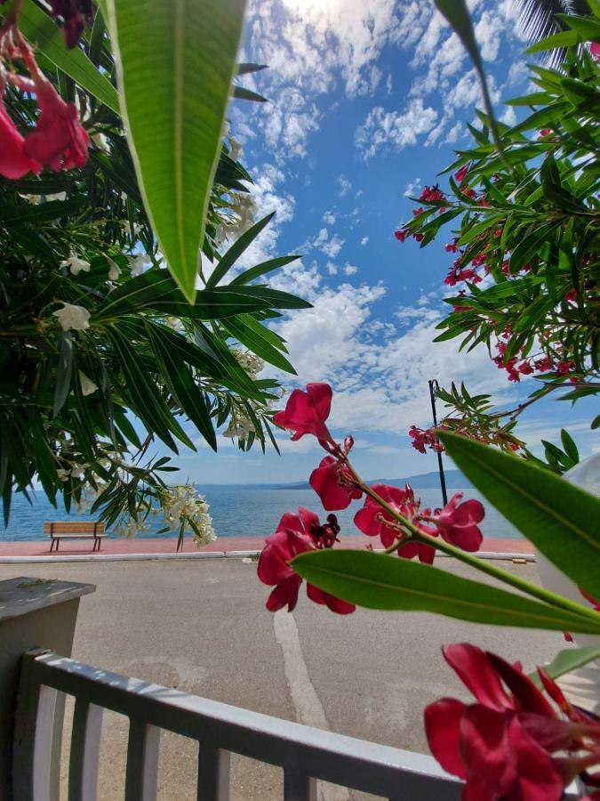 Batis Hotel Livanátesz Kültér fotó